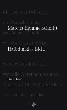 Marcus Hammerschmitt Halbdunkles Licht